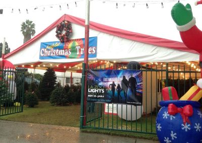 christmas tree banner