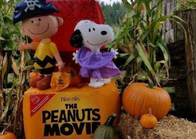 the peanuts pumpkin movie