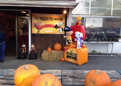 the peanuts pumpkin movie