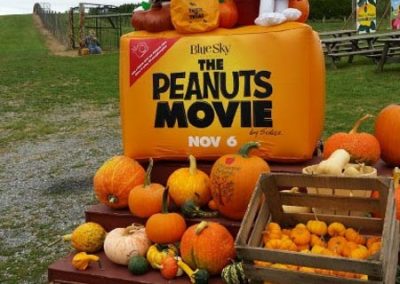the peanuts pumpkin movie