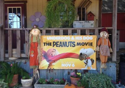 the peanuts pumpkin movie banner