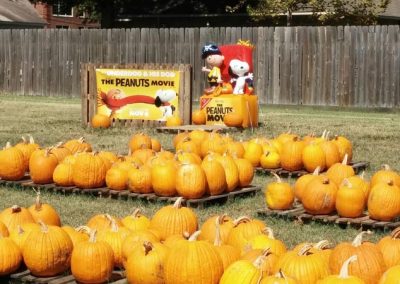 the peanuts pumpkin movie