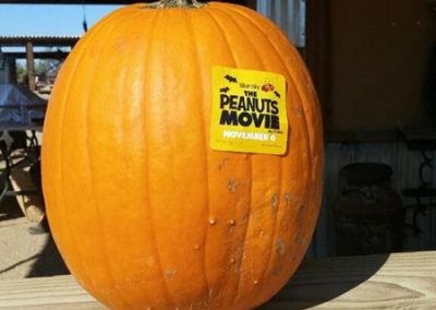 the peanuts pumpkin movie