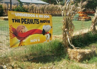 the peanuts pumpkin movie banner ad