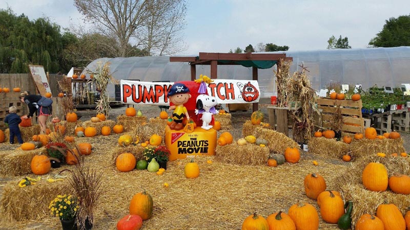 the peanuts movie banner ad