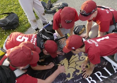 cambria youth team sports banner