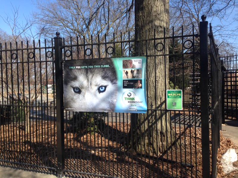 zoo aquariums print advertisement