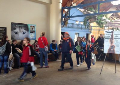 zoo aquariums media banner ad