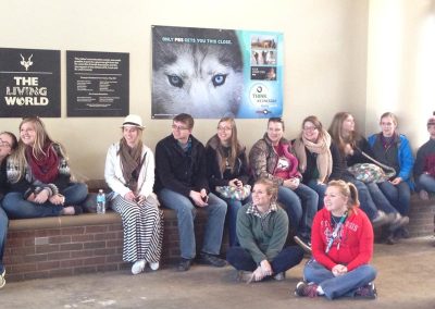 zoo aquariums media banner ad