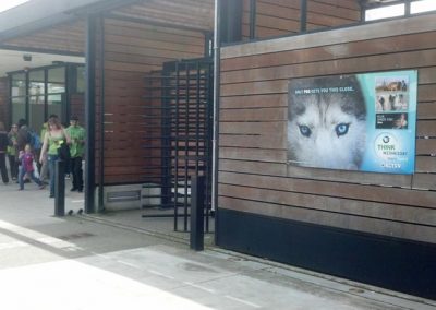 zoo aquariums banner advertisement