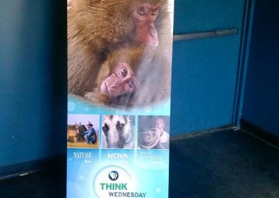 zoo aquariums print advertisement