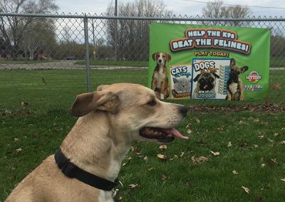Dog park banner