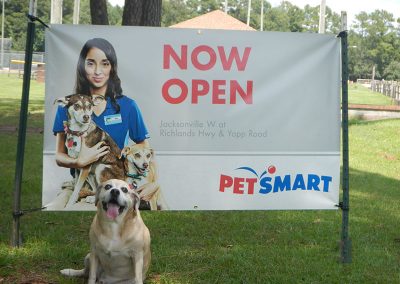 PETSMART Banner